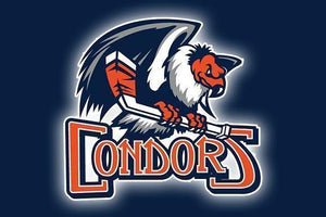 Condors - Sunday, November 24, 2024